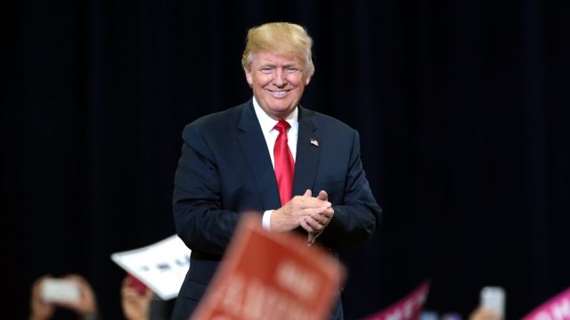 Dark MAGA, Trumpcoin, TRUMP tokens surge; NYT predicts Trump win