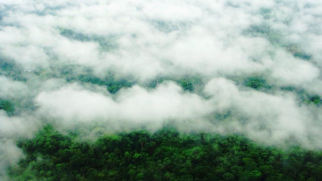 Carbon markets investor Silvania launches $1.5 billion fund to protect Amazon rainforest