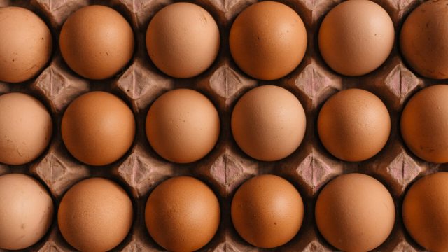Egg prices skyrocket in the US, lifting share prices of Vital Farms and Cal-Maine: should you invest?